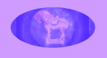 parks_flea_market_and_auction,_bealeton,_virginia001001.jpg